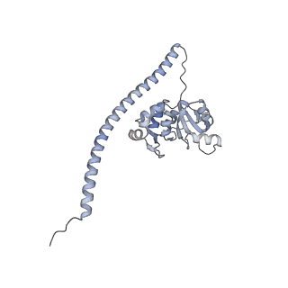 27919_8e5t_F_v1-2
Yeast co-transcriptional Noc1-Noc2 RNP assembly checkpoint intermediate