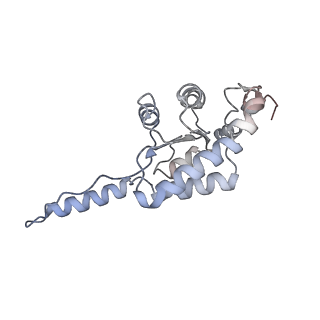 27919_8e5t_G_v1-2
Yeast co-transcriptional Noc1-Noc2 RNP assembly checkpoint intermediate