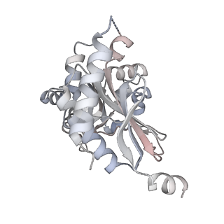 27919_8e5t_K_v1-2
Yeast co-transcriptional Noc1-Noc2 RNP assembly checkpoint intermediate