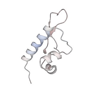 27919_8e5t_L_v1-2
Yeast co-transcriptional Noc1-Noc2 RNP assembly checkpoint intermediate