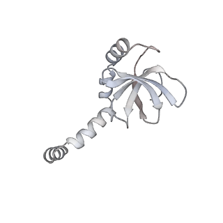 27919_8e5t_M_v1-2
Yeast co-transcriptional Noc1-Noc2 RNP assembly checkpoint intermediate
