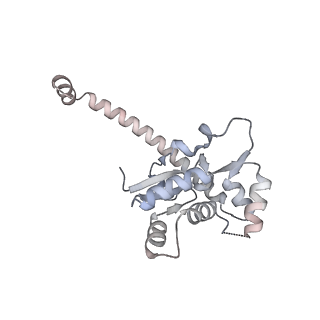27919_8e5t_O_v1-2
Yeast co-transcriptional Noc1-Noc2 RNP assembly checkpoint intermediate