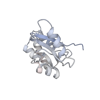 27919_8e5t_Q_v1-2
Yeast co-transcriptional Noc1-Noc2 RNP assembly checkpoint intermediate
