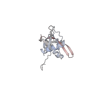 27919_8e5t_S_v1-2
Yeast co-transcriptional Noc1-Noc2 RNP assembly checkpoint intermediate