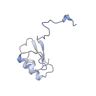27919_8e5t_e_v1-2
Yeast co-transcriptional Noc1-Noc2 RNP assembly checkpoint intermediate