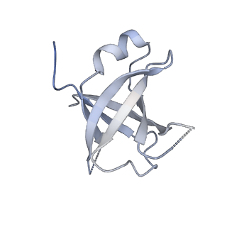 27919_8e5t_f_v1-2
Yeast co-transcriptional Noc1-Noc2 RNP assembly checkpoint intermediate