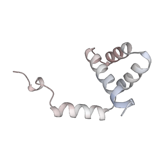 27919_8e5t_i_v1-2
Yeast co-transcriptional Noc1-Noc2 RNP assembly checkpoint intermediate