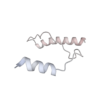 27919_8e5t_m_v1-2
Yeast co-transcriptional Noc1-Noc2 RNP assembly checkpoint intermediate