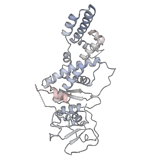 27919_8e5t_n_v1-2
Yeast co-transcriptional Noc1-Noc2 RNP assembly checkpoint intermediate