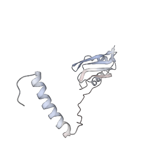 27919_8e5t_o_v1-2
Yeast co-transcriptional Noc1-Noc2 RNP assembly checkpoint intermediate