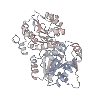 27919_8e5t_p_v1-2
Yeast co-transcriptional Noc1-Noc2 RNP assembly checkpoint intermediate