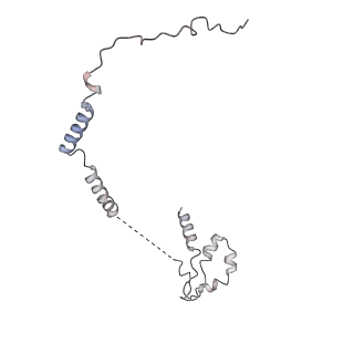 27919_8e5t_s_v1-2
Yeast co-transcriptional Noc1-Noc2 RNP assembly checkpoint intermediate