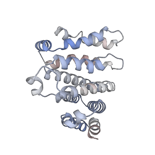 27919_8e5t_z_v1-2
Yeast co-transcriptional Noc1-Noc2 RNP assembly checkpoint intermediate
