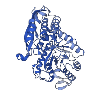 30989_7e51_A_v1-1
Structure of PEP bound Enolase from Mycobacterium tuberculosis