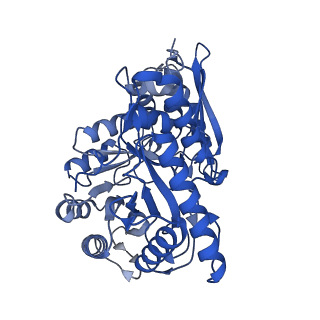 30989_7e51_B_v1-1
Structure of PEP bound Enolase from Mycobacterium tuberculosis