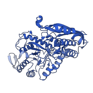 30989_7e51_C_v1-1
Structure of PEP bound Enolase from Mycobacterium tuberculosis