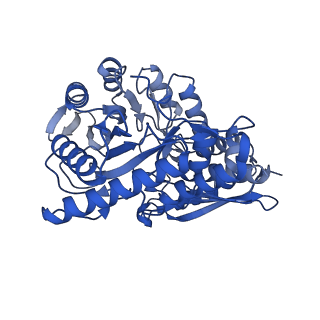 30989_7e51_D_v1-1
Structure of PEP bound Enolase from Mycobacterium tuberculosis