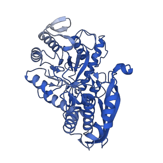 30989_7e51_E_v1-1
Structure of PEP bound Enolase from Mycobacterium tuberculosis