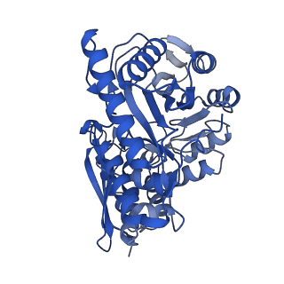 30989_7e51_F_v1-1
Structure of PEP bound Enolase from Mycobacterium tuberculosis