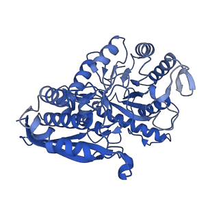30989_7e51_G_v1-1
Structure of PEP bound Enolase from Mycobacterium tuberculosis