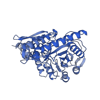 30989_7e51_H_v1-1
Structure of PEP bound Enolase from Mycobacterium tuberculosis