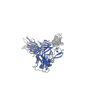 30993_7e5r_A_v1-0
SARS-CoV-2 S trimer with three-antibody cocktail complex