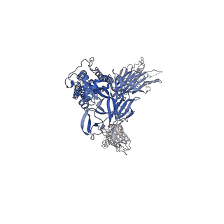 30993_7e5r_B_v1-0
SARS-CoV-2 S trimer with three-antibody cocktail complex