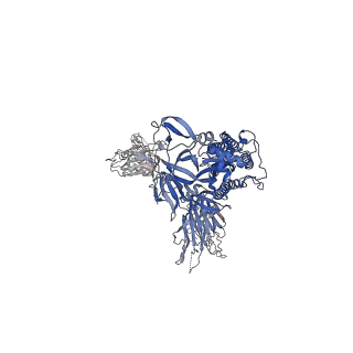 30993_7e5r_C_v1-0
SARS-CoV-2 S trimer with three-antibody cocktail complex