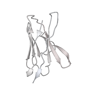 30993_7e5r_E_v1-0
SARS-CoV-2 S trimer with three-antibody cocktail complex