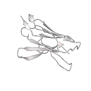 30993_7e5r_H_v1-0
SARS-CoV-2 S trimer with three-antibody cocktail complex