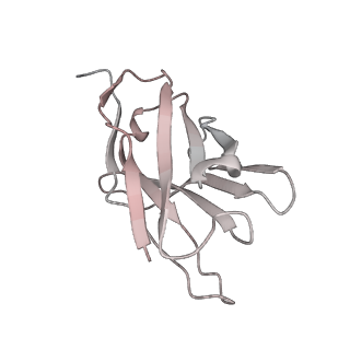 30993_7e5r_I_v1-0
SARS-CoV-2 S trimer with three-antibody cocktail complex