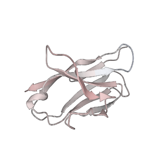 30993_7e5r_K_v1-0
SARS-CoV-2 S trimer with three-antibody cocktail complex