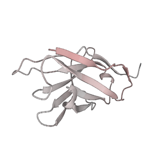 30993_7e5r_M_v1-0
SARS-CoV-2 S trimer with three-antibody cocktail complex