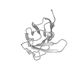 30993_7e5r_N_v1-0
SARS-CoV-2 S trimer with three-antibody cocktail complex