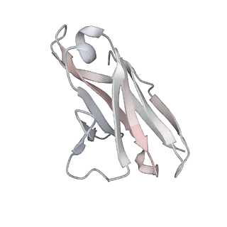 30993_7e5r_R_v1-0
SARS-CoV-2 S trimer with three-antibody cocktail complex