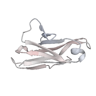 30993_7e5r_S_v1-0
SARS-CoV-2 S trimer with three-antibody cocktail complex