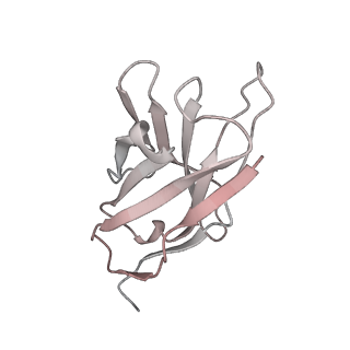 30993_7e5r_T_v1-0
SARS-CoV-2 S trimer with three-antibody cocktail complex