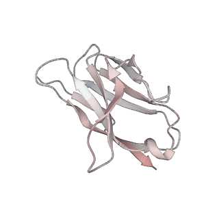 30993_7e5r_V_v1-0
SARS-CoV-2 S trimer with three-antibody cocktail complex