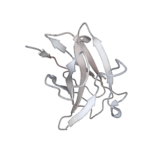 30993_7e5r_X_v1-0
SARS-CoV-2 S trimer with three-antibody cocktail complex