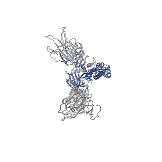 30994_7e5s_C_v1-0
SARS-CoV-2 S trimer with four-antibody cocktail complex