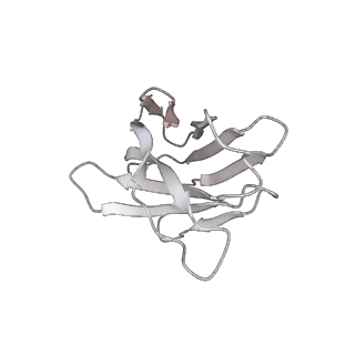 30994_7e5s_E_v1-0
SARS-CoV-2 S trimer with four-antibody cocktail complex