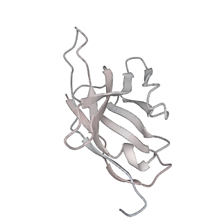 30994_7e5s_J_v1-0
SARS-CoV-2 S trimer with four-antibody cocktail complex