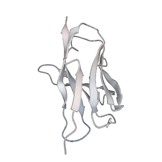 30994_7e5s_K_v1-0
SARS-CoV-2 S trimer with four-antibody cocktail complex