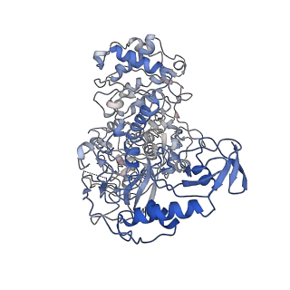 30995_7e5z_A_v1-1
Dehydrogenase holoenzyme