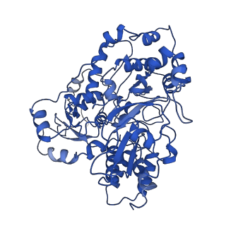 30995_7e5z_B_v1-1
Dehydrogenase holoenzyme
