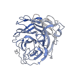 27920_8e6j_B_v1-1
3H03 Fab in complex with influenza virus neuraminidase from A/Brevig Mission/1/1918 (H1N1)