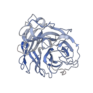 27920_8e6j_C_v1-1
3H03 Fab in complex with influenza virus neuraminidase from A/Brevig Mission/1/1918 (H1N1)