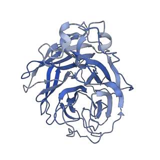27921_8e6k_B_v1-1
2H08 Fab in complex with influenza virus neuraminidase from A/Brevig Mission/1/1918 (H1N1)
