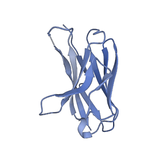 27921_8e6k_L_v1-1
2H08 Fab in complex with influenza virus neuraminidase from A/Brevig Mission/1/1918 (H1N1)