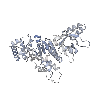 27928_8e6w_a_v1-3
Escherichia coli Rho-dependent transcription pre-termination complex containing 18 nt long RNA spacer, lambda-tR1 rut RNA, Mg-ADP-BeF3, and NusG; Rho part